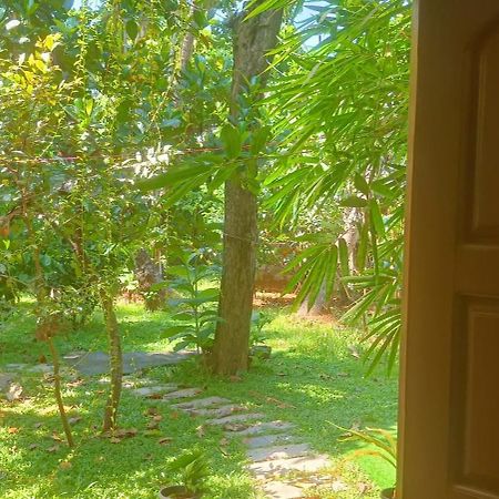 Mother'S Inn Homestay Kochi Exterior foto